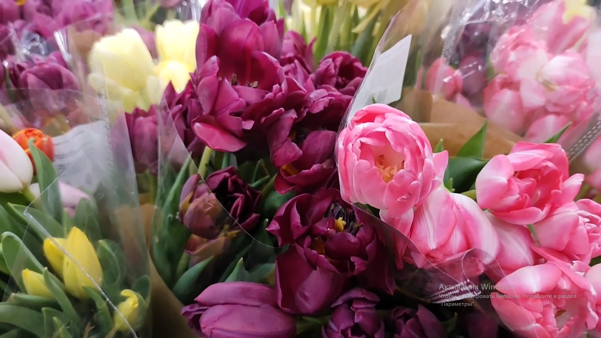 В Ленте море цветов к 8 марта ?а в салоне Орхидея выставка камней ? смотреть онлайн