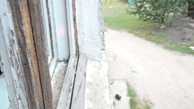 Ураган в Котовске по имени Альгердасовна смотреть онлайн