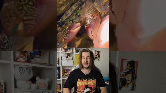 Почему краб кушает кожу? смотреть онлайн