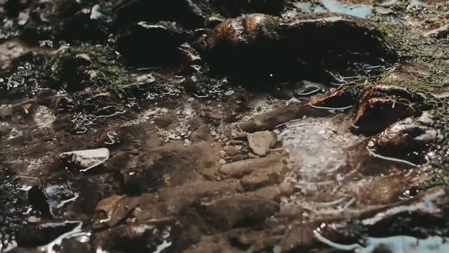 Алёна на водопаде смотреть онлайн