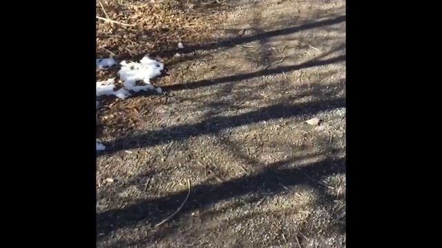 The adventures of Tyrone and Lonzo ep 3 смотреть онлайн