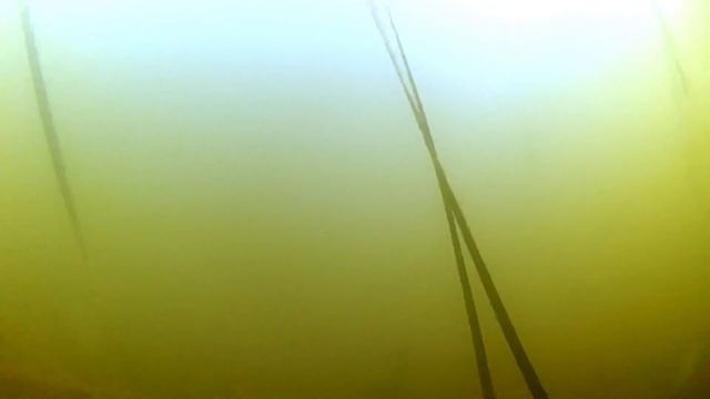 КРАСНОПЁРКА на БОКОВОЙ КИВОК с лодки | Рыбалка на кружки + Подводная съёмка смотреть онлайн