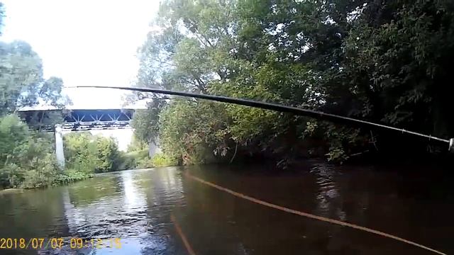 Ловля голавля нахлыстом на Проне в Рязанской области смотреть онлайн