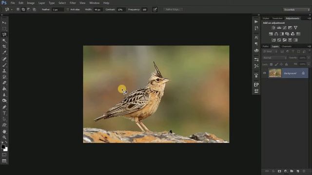 One minute tutorial: Magnet lasso tool: Basics and Shortcut keys. смотреть онлайн