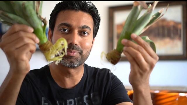 Grow Pineapple From Top Of Another Pineapple