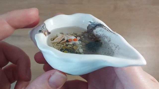 Карманный аквариум Ракушка с рыбкой смотреть онлайн