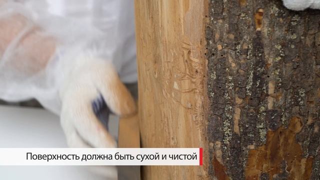 StopЖук NEOMID 100