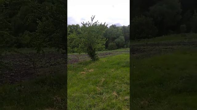 Весна в моей деревне смотреть онлайн