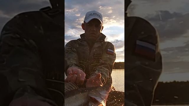 Калязин!Волга!Судак,тролинг.Рыбалка жизнь!!! смотреть онлайн