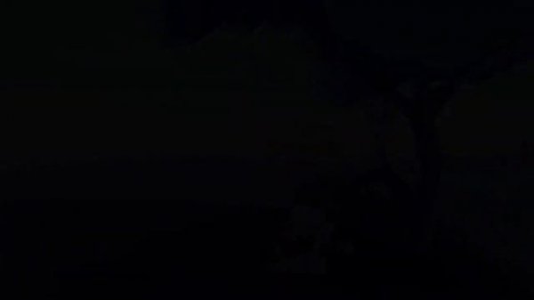 roblox da hood song ids/ music codes 2021-22 pt.2