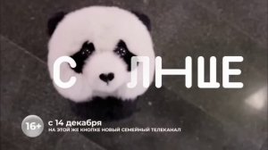 Последние минуты вещания (Канал Disney, 13-14.12.2022) 00:00 МСК