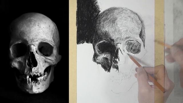 Spooky Skull Sketch смотреть онлайн