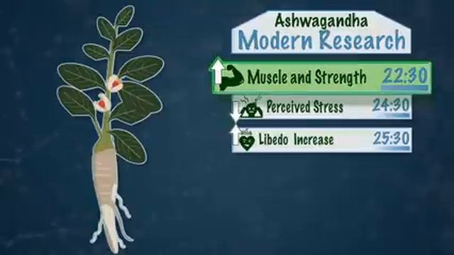 ADAPTOGENS EXPLAINED: Ginseng, Ashwagandha, Rhodiola + Science of Stress смотреть онлайн