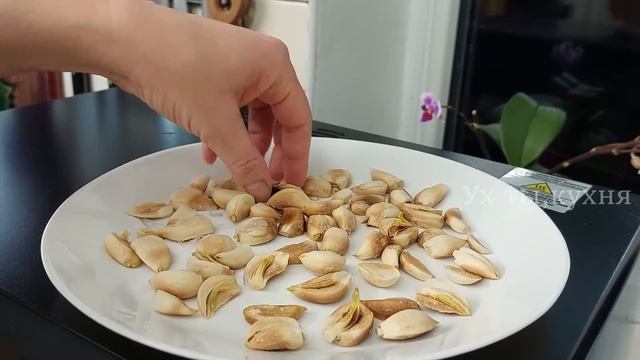 Звериные друзья