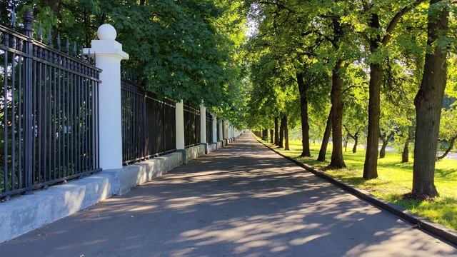 улица Лебедева, рядом с МГУ. Video background. Живая картинка. смотреть онлайн