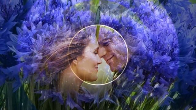 Полевые цветы,как простые мечты... смотреть онлайн