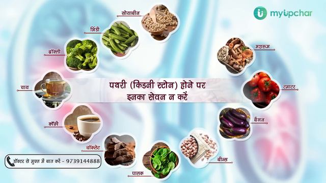 किडनी स्टोन में भूल से भी नहीं खाएं ये चीजें - जानें किडनी की पथरी में क्या खाएं, क्या नहीं खाएं смотреть онлайн