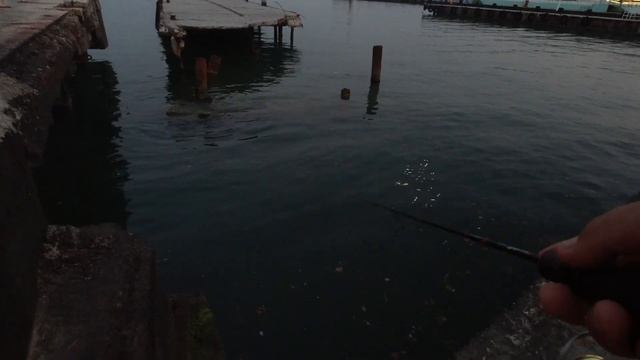 Rockfishing. Приманки от "Японские снасти" смотреть онлайн