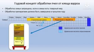 Пчеловодство в Германии. Годовой концепт обработки от клеща варроа