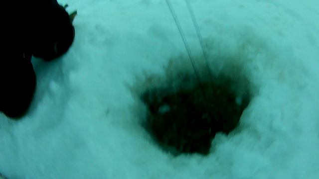 Проверка удочек. 8 день. смотреть онлайн