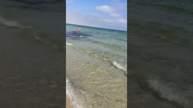 Пляж отеля в Тунисе One resort Monastir смотреть онлайн