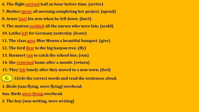 SIMPLE PAST AND PAST CONTINUOUS | Chapter 12 | Class 3 English Grammar Book Solutions | CBSE | смотреть онлайн
