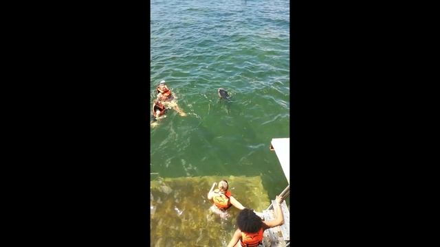 Catamaran for the first time. Cayo Blanco, Cuba. Остров Кайо Бланко, Куба смотреть онлайн