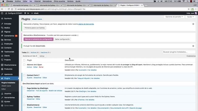 Cómo configurar el TEMA SYDNEY de WordPress importando los archivos de la demo смотреть онлайн