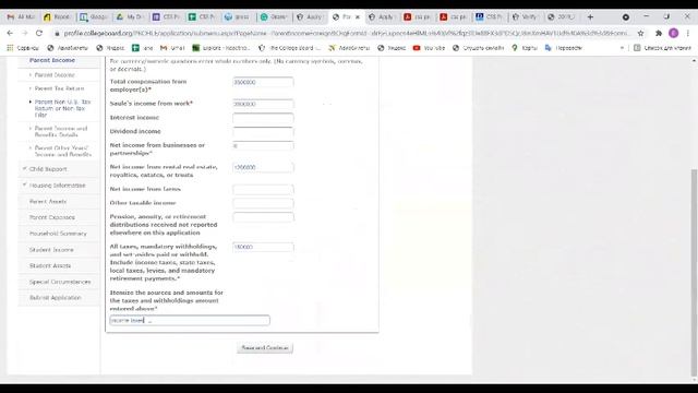 Пошаговая инструкция по заполнению CSS Profile