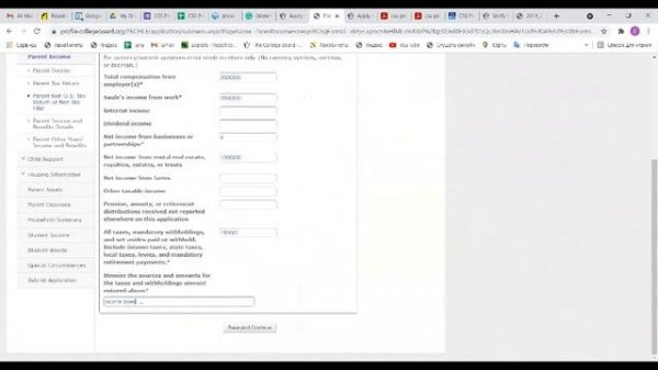 Пошаговая инструкция по заполнению CSS Profile
