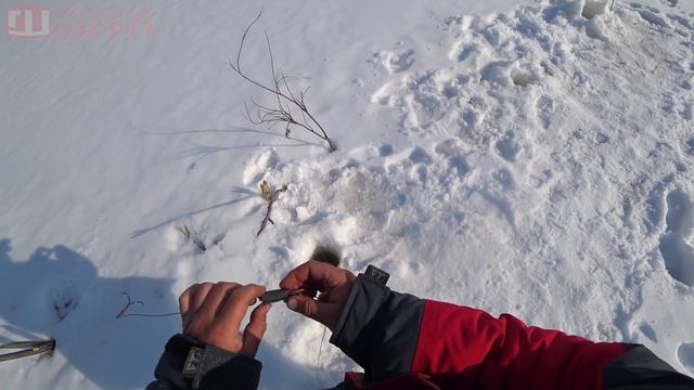 Рассказываю как ловить таких гигантов ЩУК! На Путорана смотреть онлайн