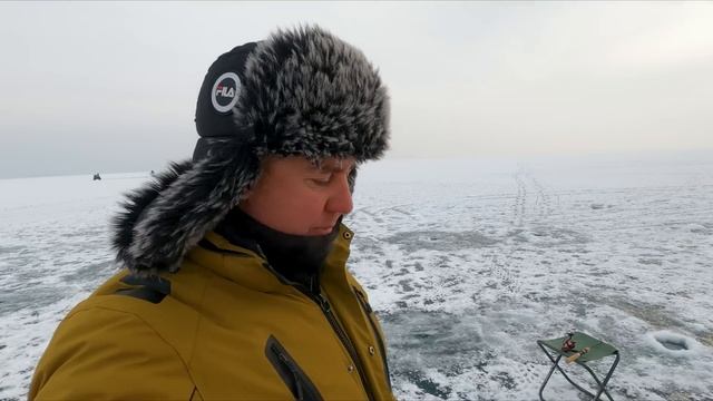 Судак прёт!!! 26.01.2023 смотреть онлайн