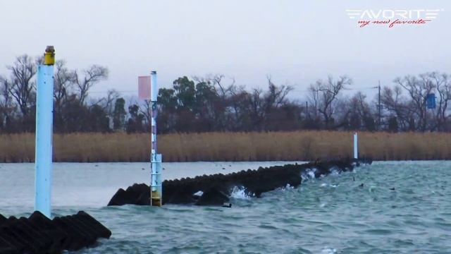Бейткастинговая снасть и ее особенности. Плюсы и минусы мультипликатора. смотреть онлайн
