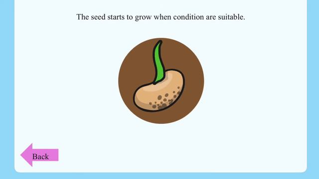 Year 1 Foundation Science - Plants 09.07.20 смотреть онлайн