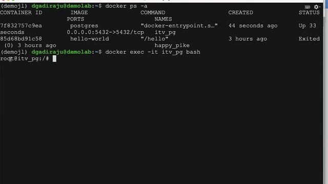 Setup Postgres Database on Ubuntu VM - Accessing Postgres using Docker CLI смотреть онлайн