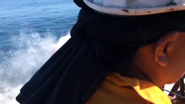 Free Fall Lifeboat Launching (FFLB) from inside смотреть онлайн