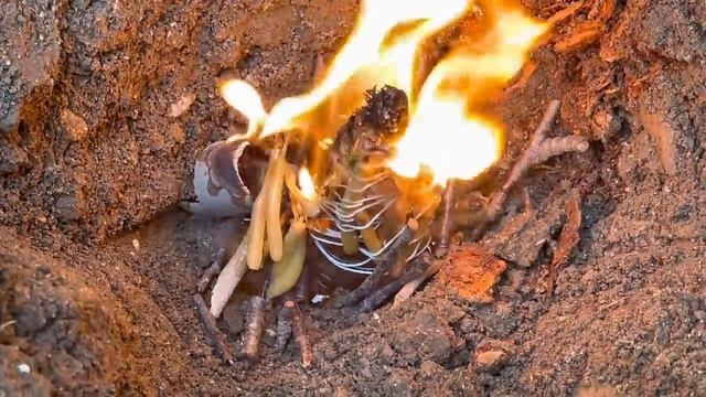 ? Только 31 Октября ? Сжигаем все преграды жизни ?? смотреть онлайн