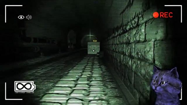 УБЕГАЕМ ОТ ОГРОМНОГО МОНСТРА / SLENDYTUBBIES 3 / ТЕЛЕПУЗИКИ ХОРРОР #2