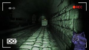 УБЕГАЕМ ОТ ОГРОМНОГО МОНСТРА / SLENDYTUBBIES 3 / ТЕЛЕПУЗИКИ ХОРРОР #2