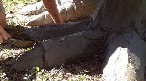 Избушка на курьих ножках,часть -1 (как сделать лапы из арт бетона)