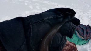 ловля подуста в начале марта на новую прикормку.