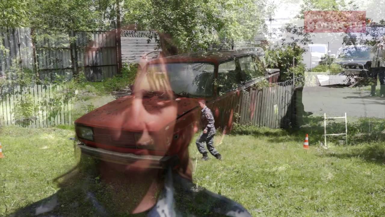 Komcity Новости — Кинологи и их четвероногие коллеги, 16 июня 2016 смотреть онлайн