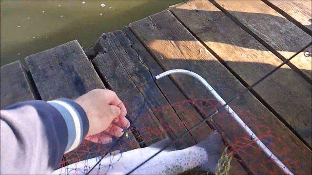 После запуска форель предпочитает блесна!!!Клевое Место д.Савельево смотреть онлайн