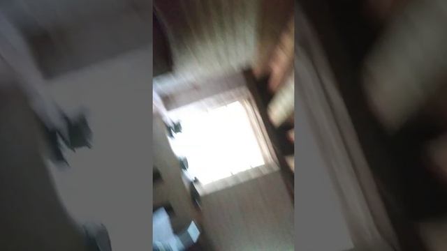 Thomas Jefferson slave plantation with Shi and Dale смотреть онлайн