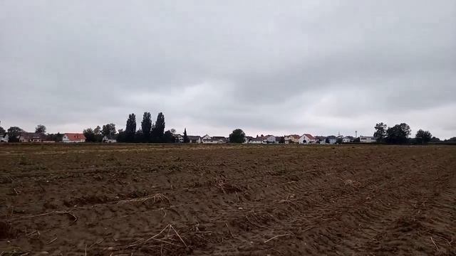 Нашли древнюю монету ! Коп в Германии c металлоискателем смотреть онлайн