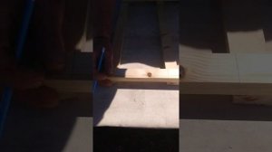 как сделать сушилку для рыбы овощей фруктов и грибов часть 1