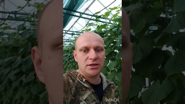 ДРУЗЬЯ С ПРАЗДНИКОМ РАБОТНИКОВ СЕЛЬСКОГО ХОЗЯЙСТВА. смотреть онлайн