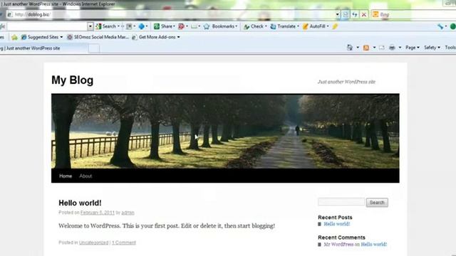 How To Install Themes For Wordpress By HostJinni.com смотреть онлайн