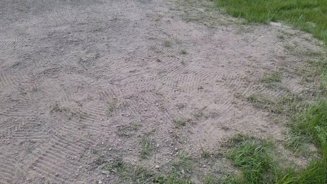 Как избавиться от проплешин на газоне. Просто, быстро, удобно, без дополнительных усилий.