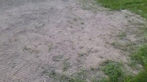 Как избавиться от проплешин на газоне. Просто, быстро, удобно, без дополнительных усилий.